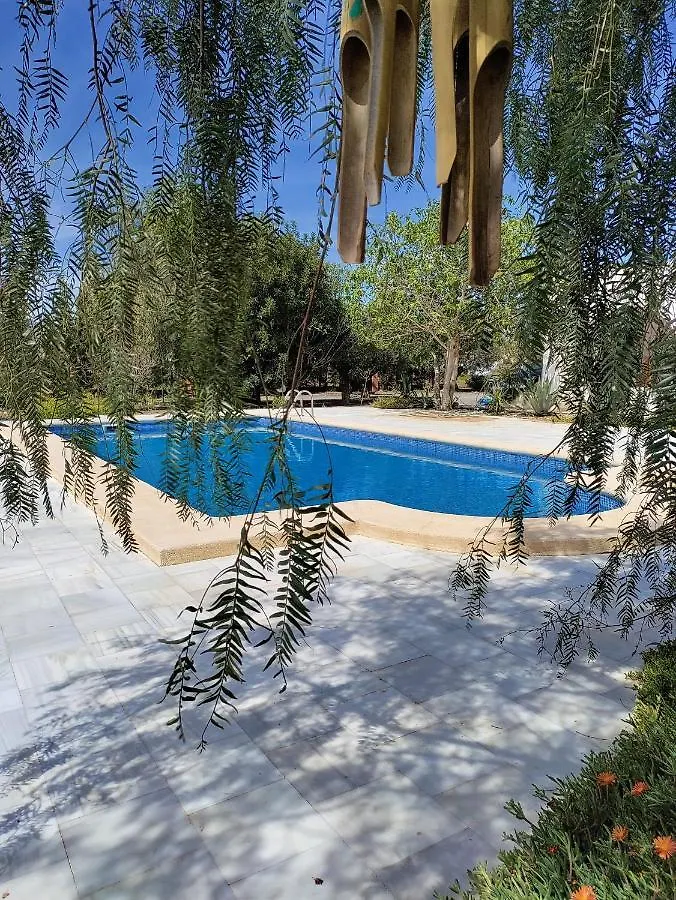 乡村民宿 Cortijo Oro Verde B&B 塔韦尔纳斯