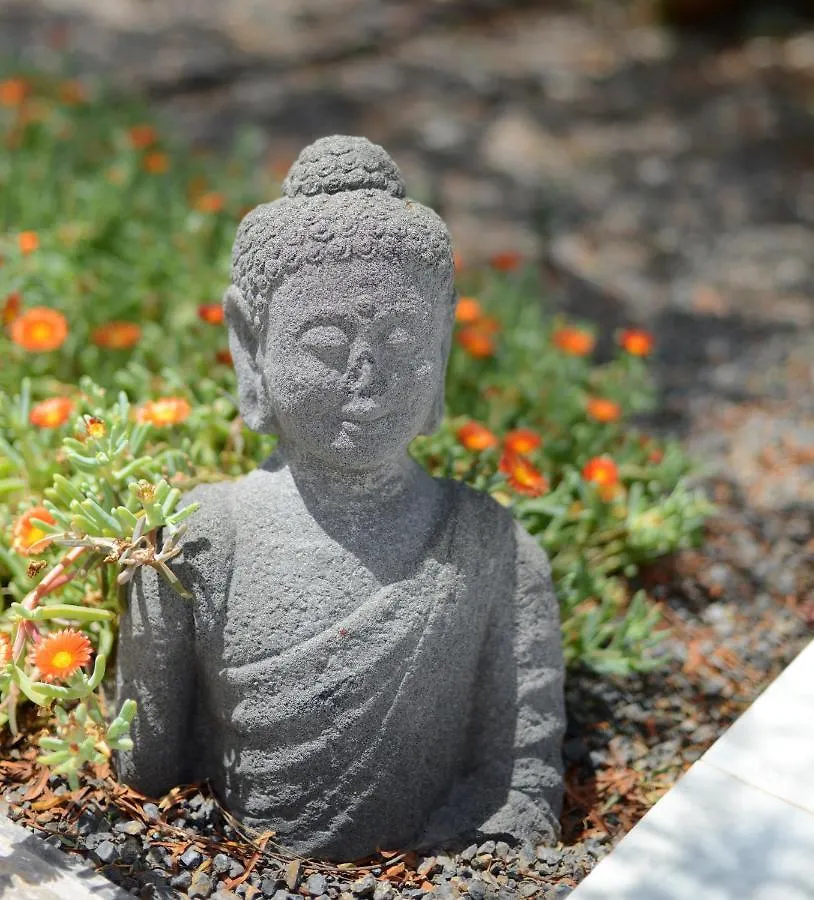 Cortijo Oro Verde B&B 塔韦尔纳斯 乡村民宿